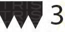 TRISCAN 8640 300865 V-Ribbed Belts